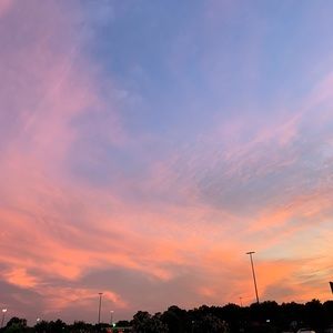 Meet your Posher, Harley